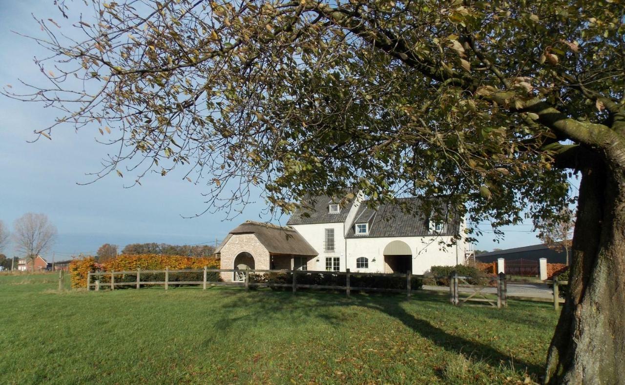 De Weide Poort Bed and Breakfast Beerse Exteriör bild