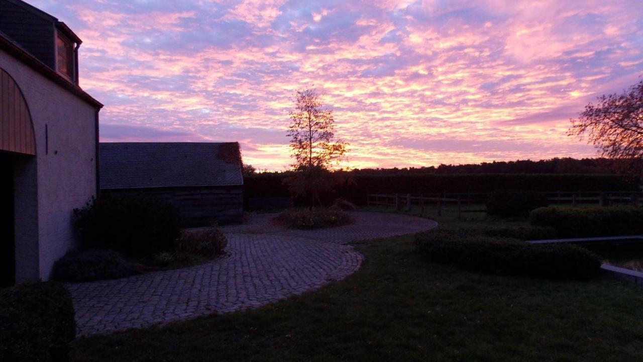 De Weide Poort Bed and Breakfast Beerse Exteriör bild